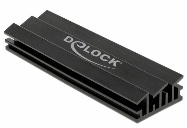 Kühlkörper für m.2 SSDs Delock Schwarz Solid State Drive Kühlkörper aus Aluminum