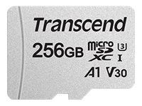 TransFlash Card / Micro SDXC 256 GB Class 10 UHS-I Speicherkarte, Trans Flash Memory, TF